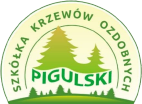 Szkółka Krzewów Ozdobnych Krzewy Pigulski